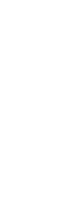 Graphics vector half